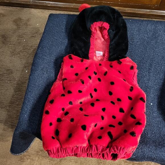 Ladybug and bumblebee kids hoodie halloween costumes size 12-24 months - Picture 1 of 7